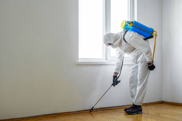 Best Local Pest Control Services  in Eagle Pass, TX